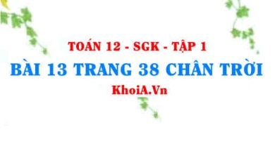 Bài 13 trang 38 Toán 12 Tập 1 Chân trời sáng tạo